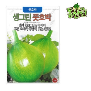풋호박 씨앗 25립