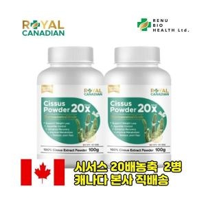 20배 시서스 파우더 100g