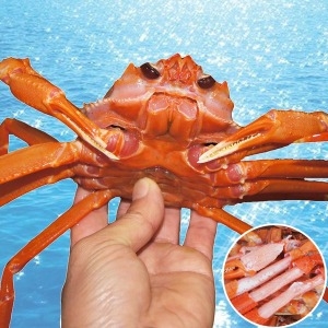 장군농수산 홍게 자숙 명품(프리미엄)형 3kg (1개)_이미지