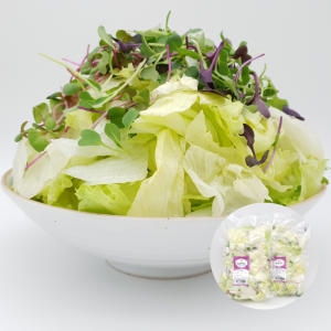 건강채소 국내산 어린잎 믹스샐러드 대용량 1kg