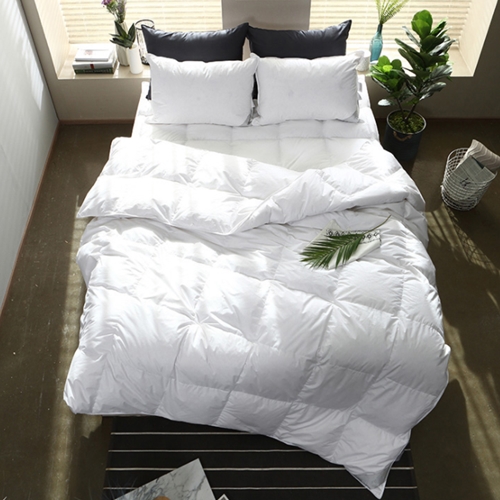 �ٿ�ƼǮ Ư��ȣ��ħ�� ���ٿ� 80% �̺Ҽ�