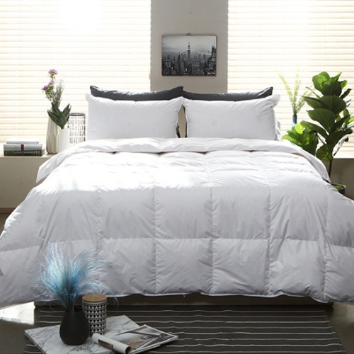 �ٿ�ƼǮ Ư��ȣ��ħ�� ���ٿ� 80% �̺Ҽ�