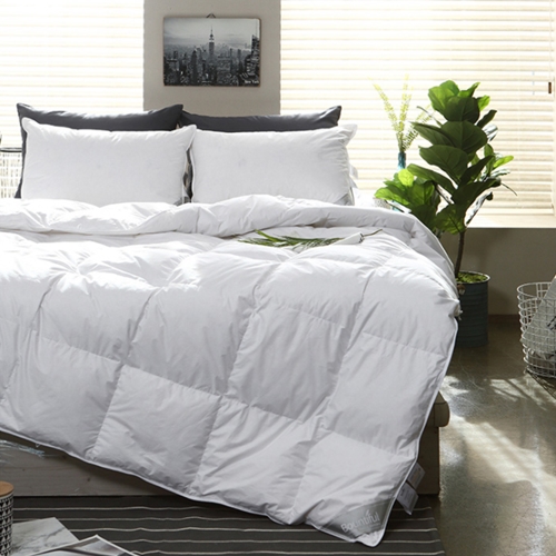 �ٿ�ƼǮ Ư��ȣ��ħ�� ���ٿ� 80% �̺Ҽ�