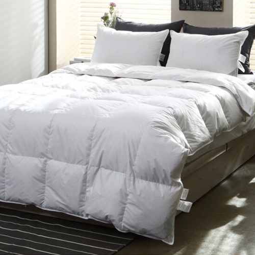 �ٿ�ƼǮ Ư��ȣ��ħ�� ���ٿ� 80% �̺Ҽ�