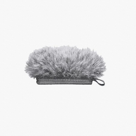 SONY �Ҵ� ���ڵ� PCM-M10 ���彺ũ��