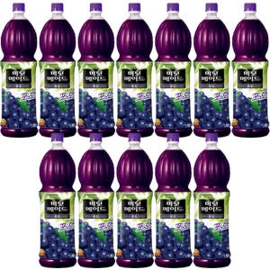 코카콜라음료 미닛메이드 포도 1.5L (12개)