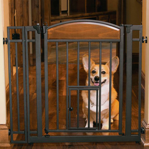 칼슨 디자인 안전문