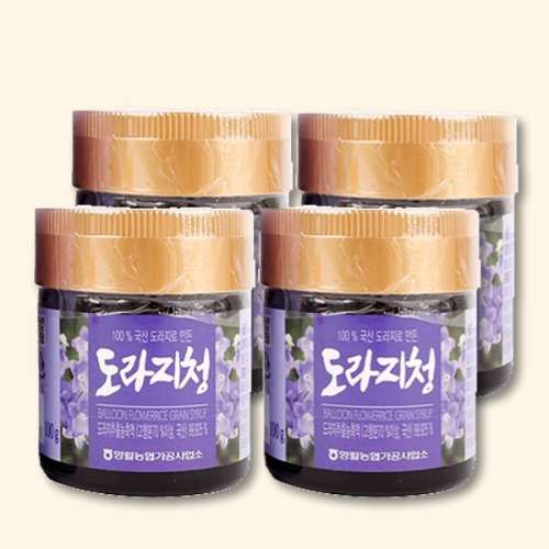 영월농협 동강마루 도라지청 100g (4개)_이미지