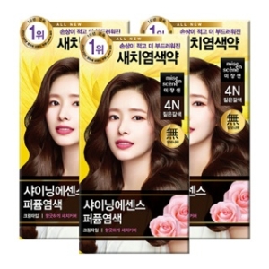 미쟝센 AP 샤이닝에센스 염색약 4N 짙은갈색x3개/새치_이미지