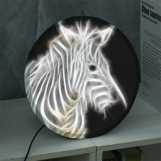 LED 빛나는얼룩말 액자 무드등 35cm