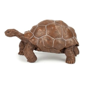 파포 동물 모형완구 갈라파고스 거북 50161 WFFIB7B_이미지