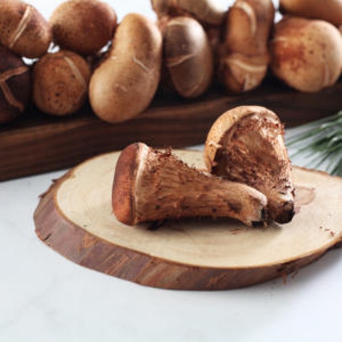 향채움 국내산 참송이버섯 500g (1개)