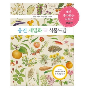 호박꽃 웅진 세밀화 식물도감 우리나라에 사는 식물 320종_이미지