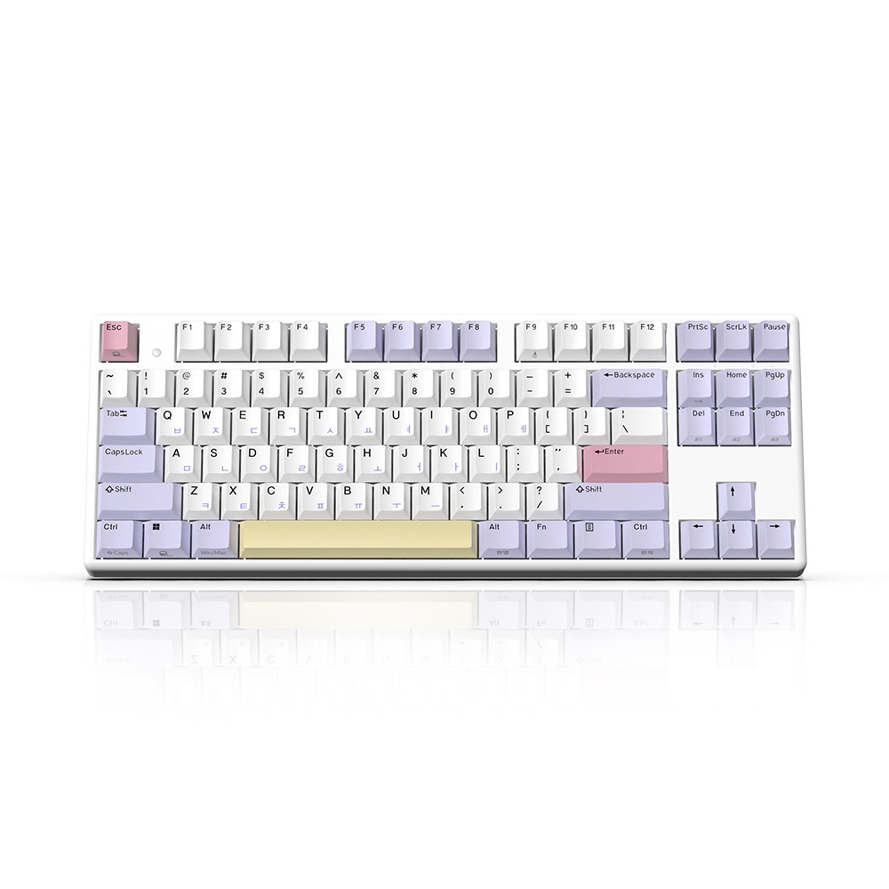 �Ѽ���ǻ�� GK893B �����ȭ EDITION ������ ������