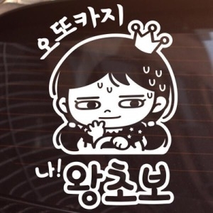 제제데코 초보맞나 맞다