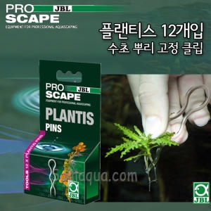 플렌티스 12개입 수초 뿌리 고정 클립/플랜티스  수초뿌리가 소일에 자리잡을 수 있도록 도와줍니다.