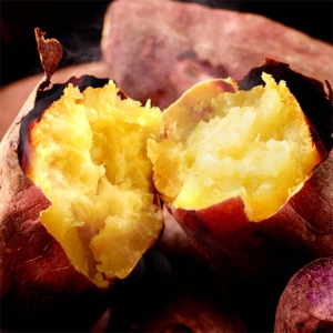 더조은푸드 해남 꿀밤 고구마 대 10kg