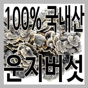 그린내추럴 국내 자연산 경북 영천 운지버섯 500g_이미지