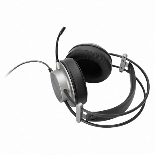 �߸� ZM-HPS600