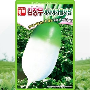 아시아종묘 김장무 아시아 가을저장 씨앗 12g_이미지