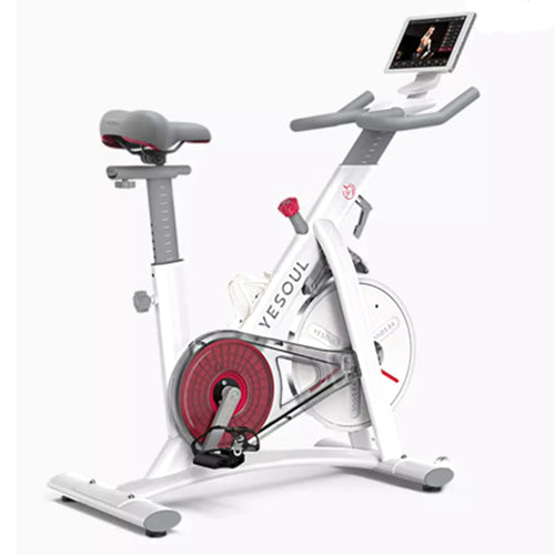 샤오미 YESOUL 스피닝 사이클 S1 (해외구매)_이미지