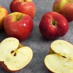 더조은 경북 홍로 못난이 꿀사과 주스용 10kg_이미지