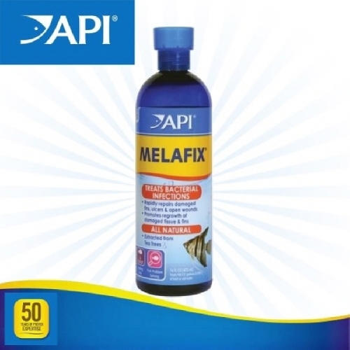 [불명] API 멜라픽스 473ml_이미지