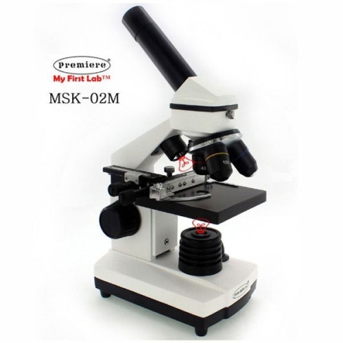 ��Ƽ�Ǿ� �����̾� MSK-02M ������ ����������̰� MCS