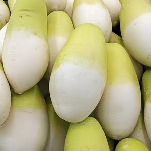 산정마을 국내산 깨끗한 흙 무우 무 10kg_이미지