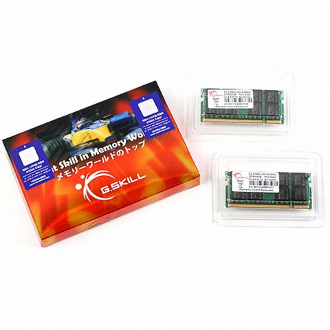 G.SKILL ��Ʈ�� DDR2-667 CL-4 SQ So-Dimm ��Ű�� ������