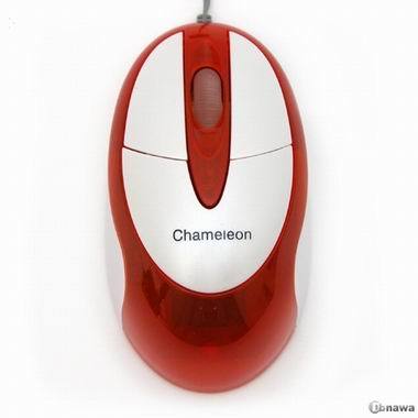 ���� TM-6000 ����