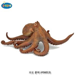 파포 문어 (56013)