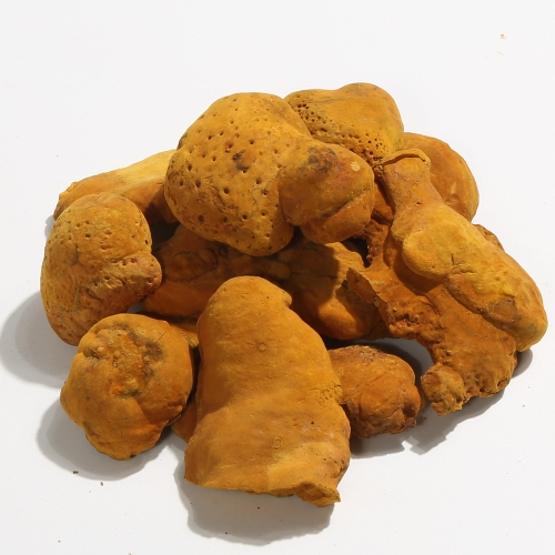 장수 상황버섯 250g 국산 1개입