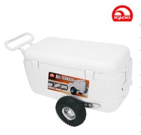 ATC 롤러 화이트 70 (66L)