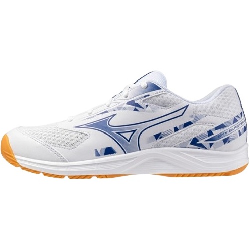 미즈노 스카이 블라스터 4 와이드 71GA253311이미지입니다. 누르면 해당 게시물로 새창이동합니다.