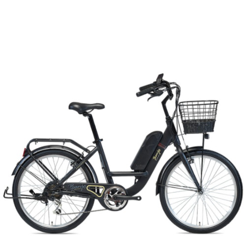 알톤스포츠 벤조 24 스페셜 PAS (2022년형)이미지입니다. 누르면 해당 게시물로 새창이동합니다.