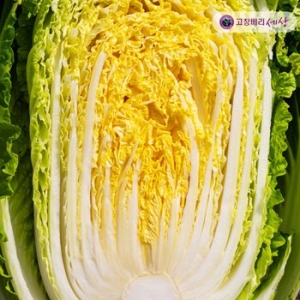 다온푸드 고창 절임배추 20kg