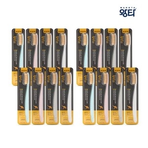 소프트 골드칫솔