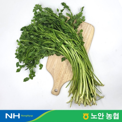 푸른들 산지직송 세척 미나리 200g 5팩 / 총1kg이미지입니다. 누르면 해당 게시물로 새창이동합니다.