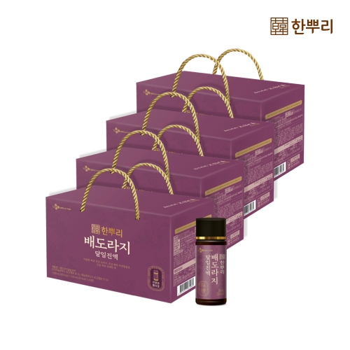  한뿌리 배도라지 달임진액 100ml 10병 [4개]