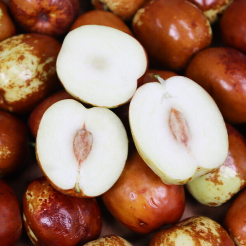 장보리 국내산 프리미엄 사과대추 상 2kg (1개)