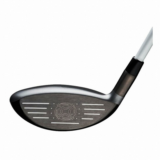 Ķ������ X HOT �����̿��