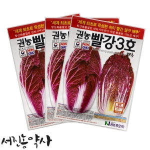 영농사 빨강 3호 배추씨앗 100립_이미지