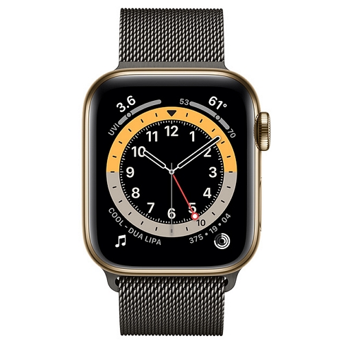 APPLE 워치 시리즈6 44mm Cellular 골드 스테인리스 스틸 (밀레니즈루프)_이미지