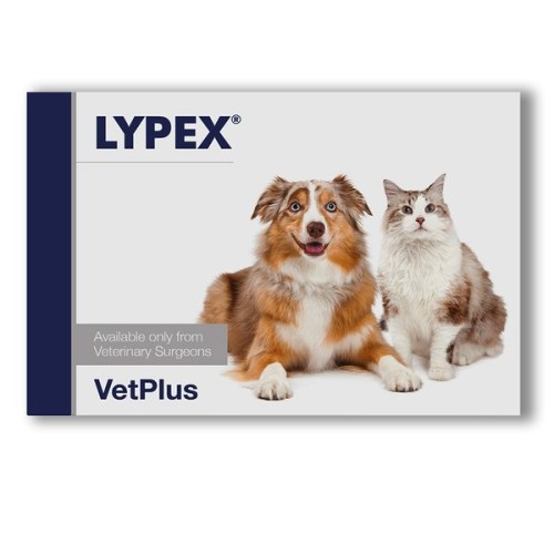 벳플러스 라이펙스 60p (1개)_이미지