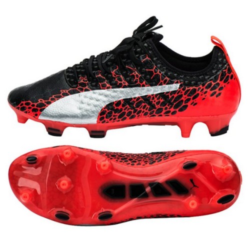 10419301 에보파워 비고르 1 그래픽 FG