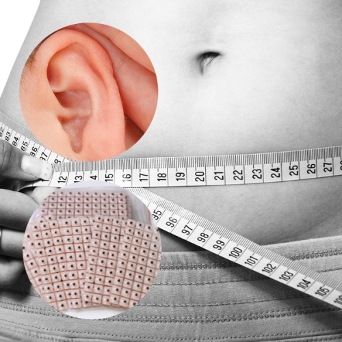 [불명] 귀 지압 패치 DD-10740_이미지