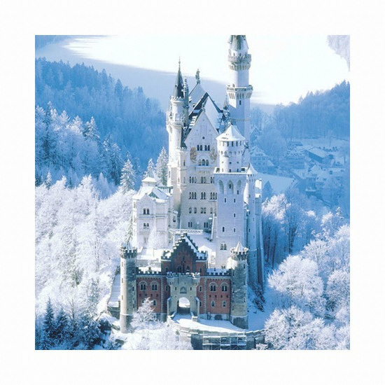 ���ް��÷��� �Գ��̽��ݽ�Ÿ�μ� ���� �ܿＺ