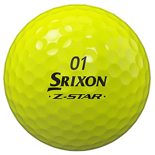���� ������ 2024 Z-STAR ����̵� ���ο�+������