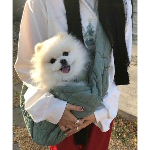 빈폴 ACCESSORY maxbone Packable Sling Carrier Apple Green BE518ZM01K 127676